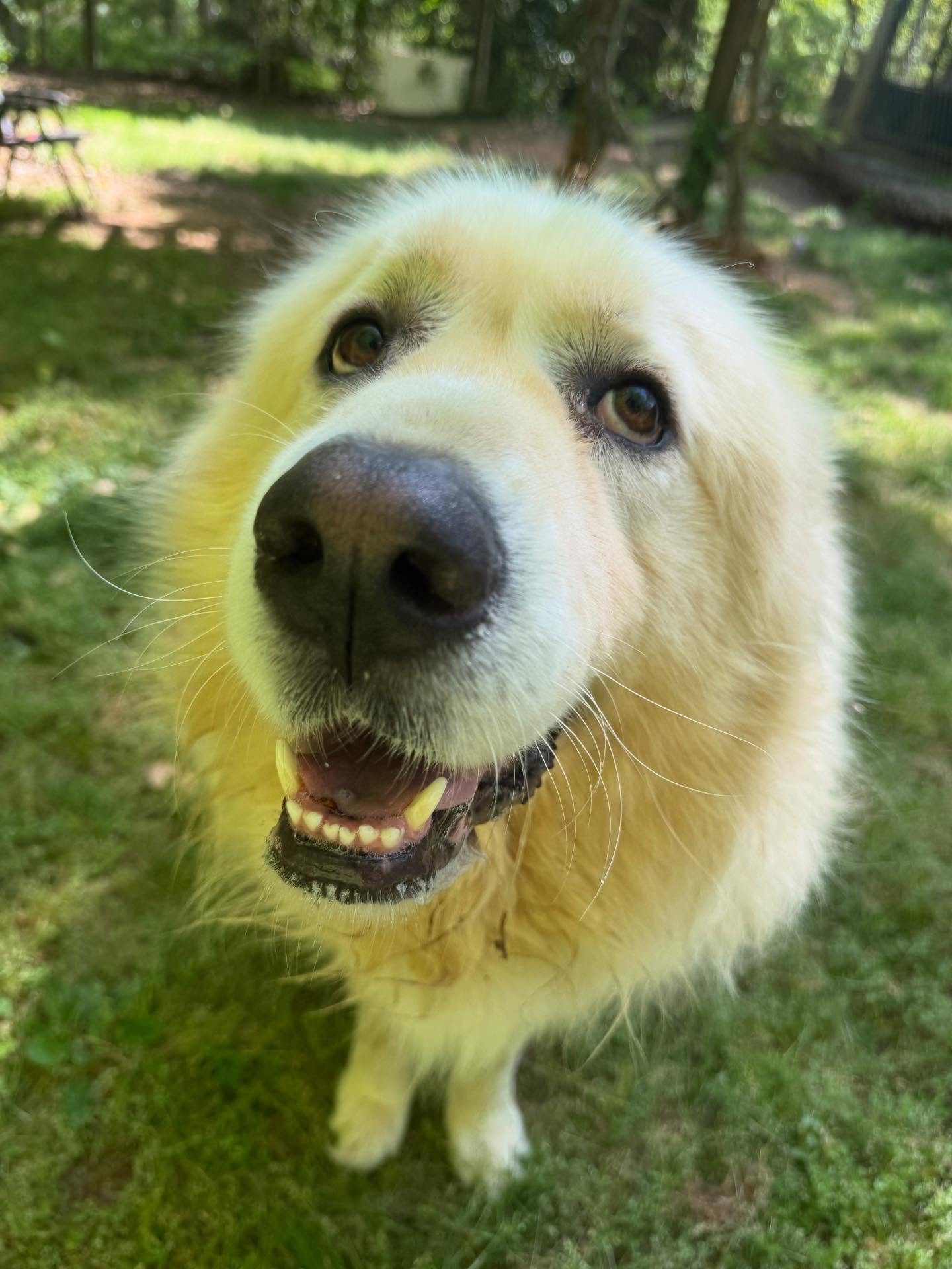 We&rsquo;ve loved spending the weekend with sweet Teddy!