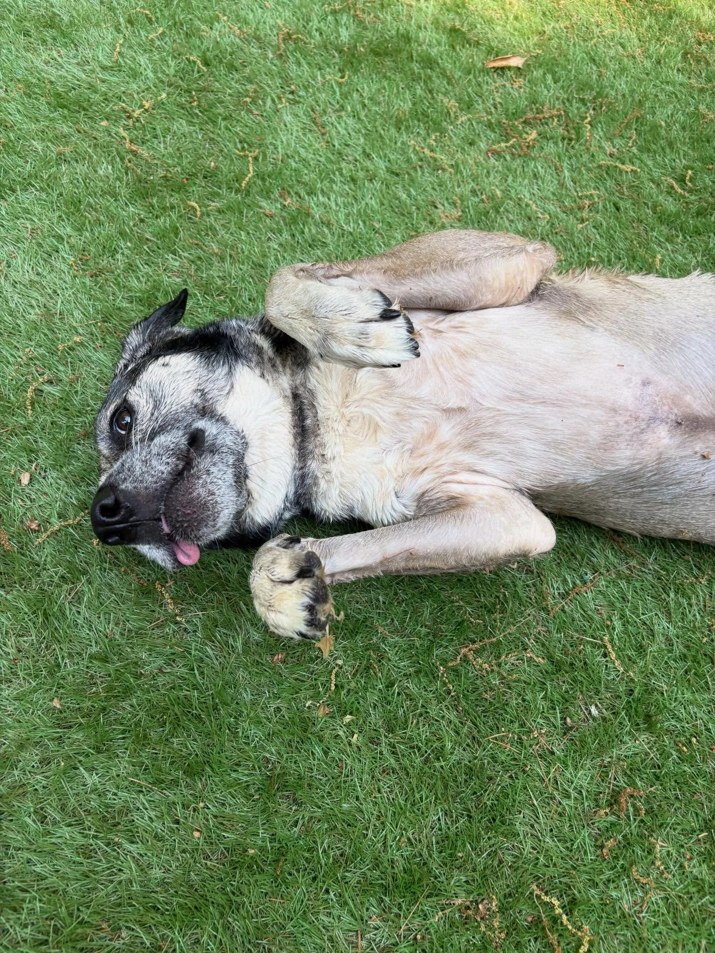 Axel is such a happy boy!