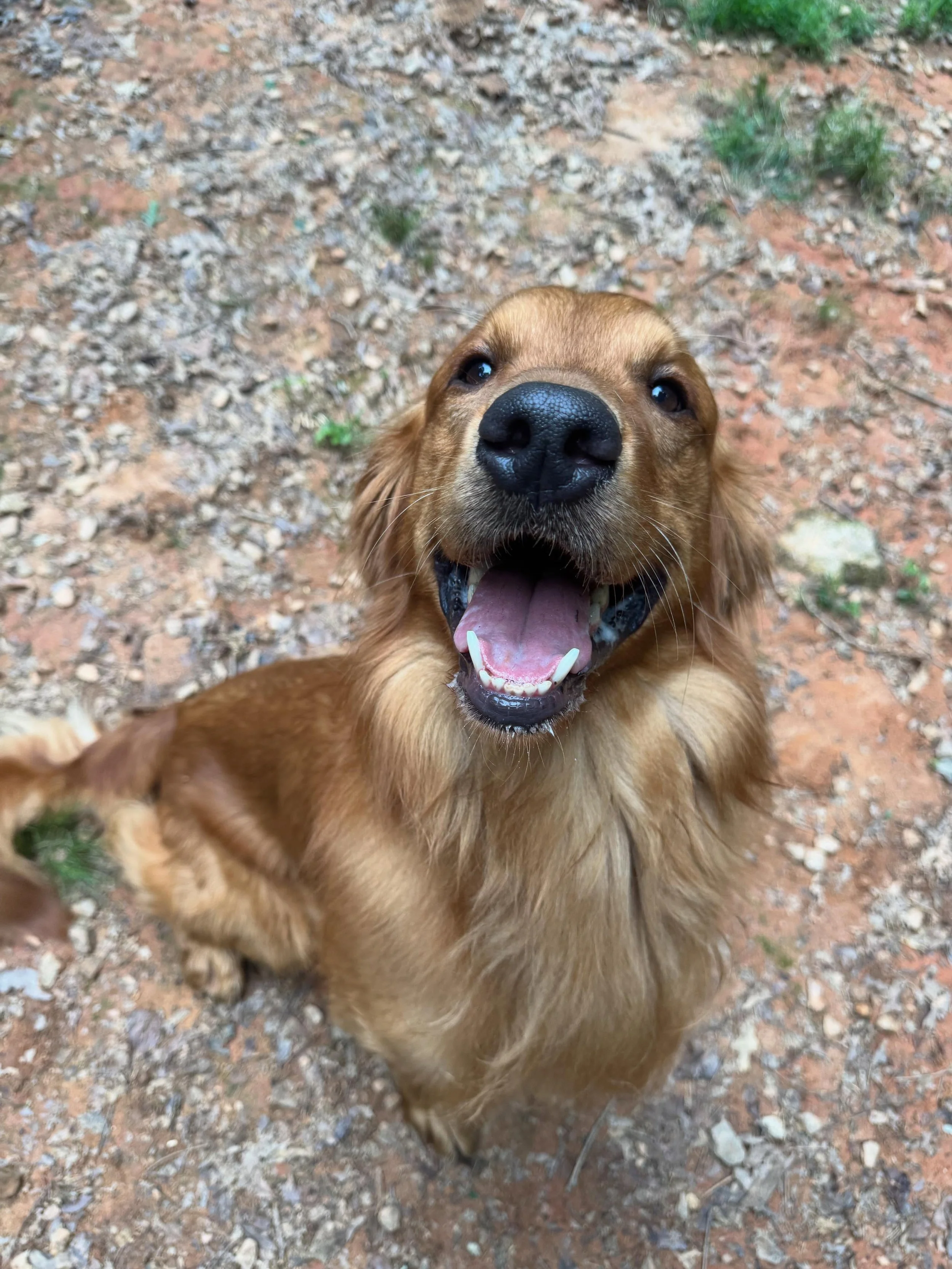 Toby is a handsome man!