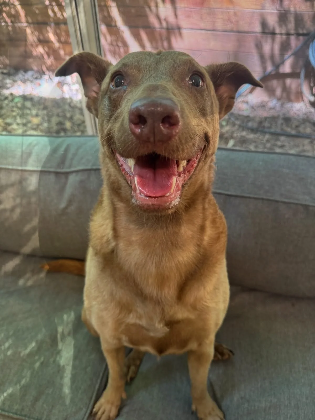 Mr Handsome Ozzie!