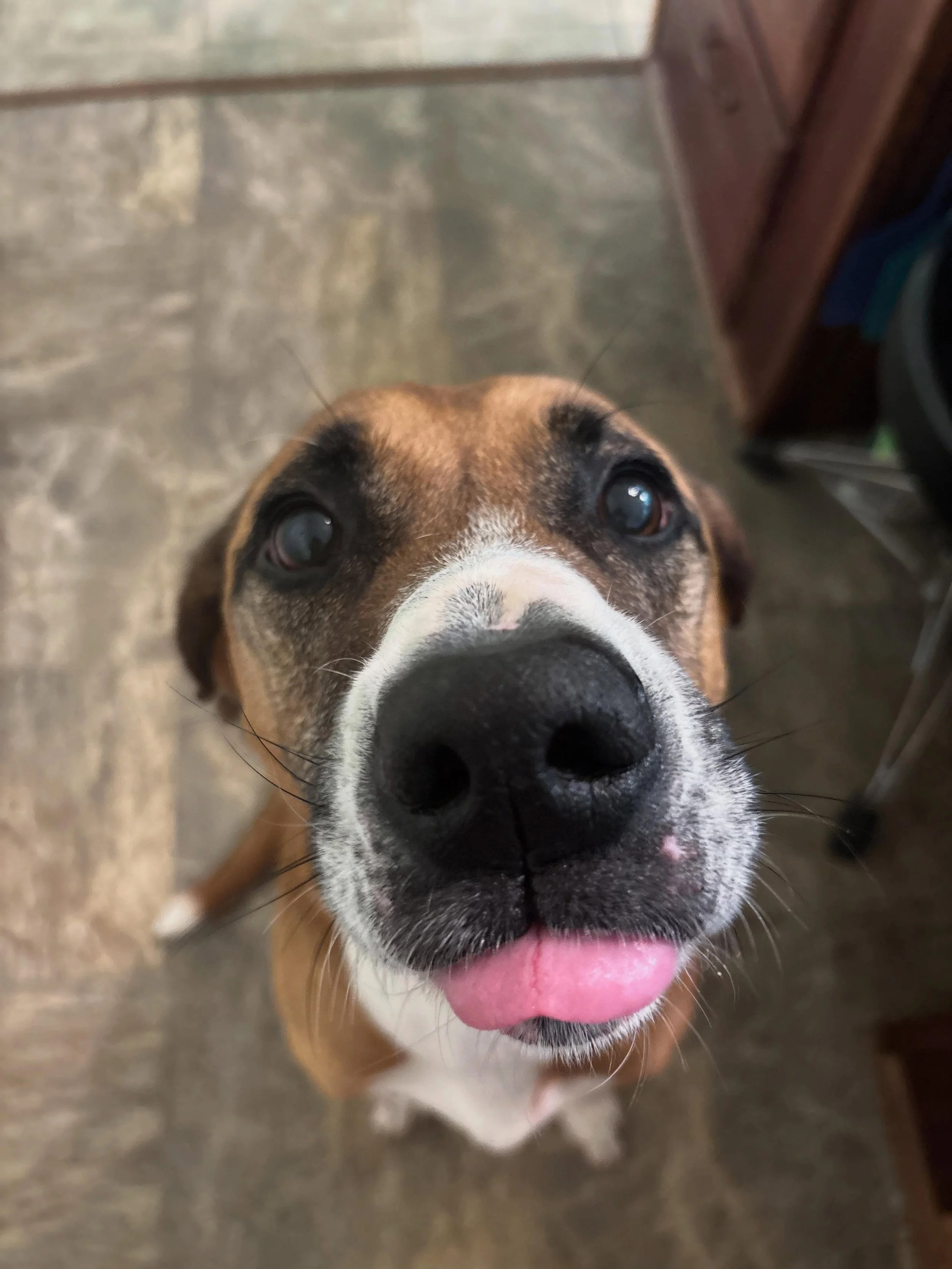 Sweet Char Char is here with us!