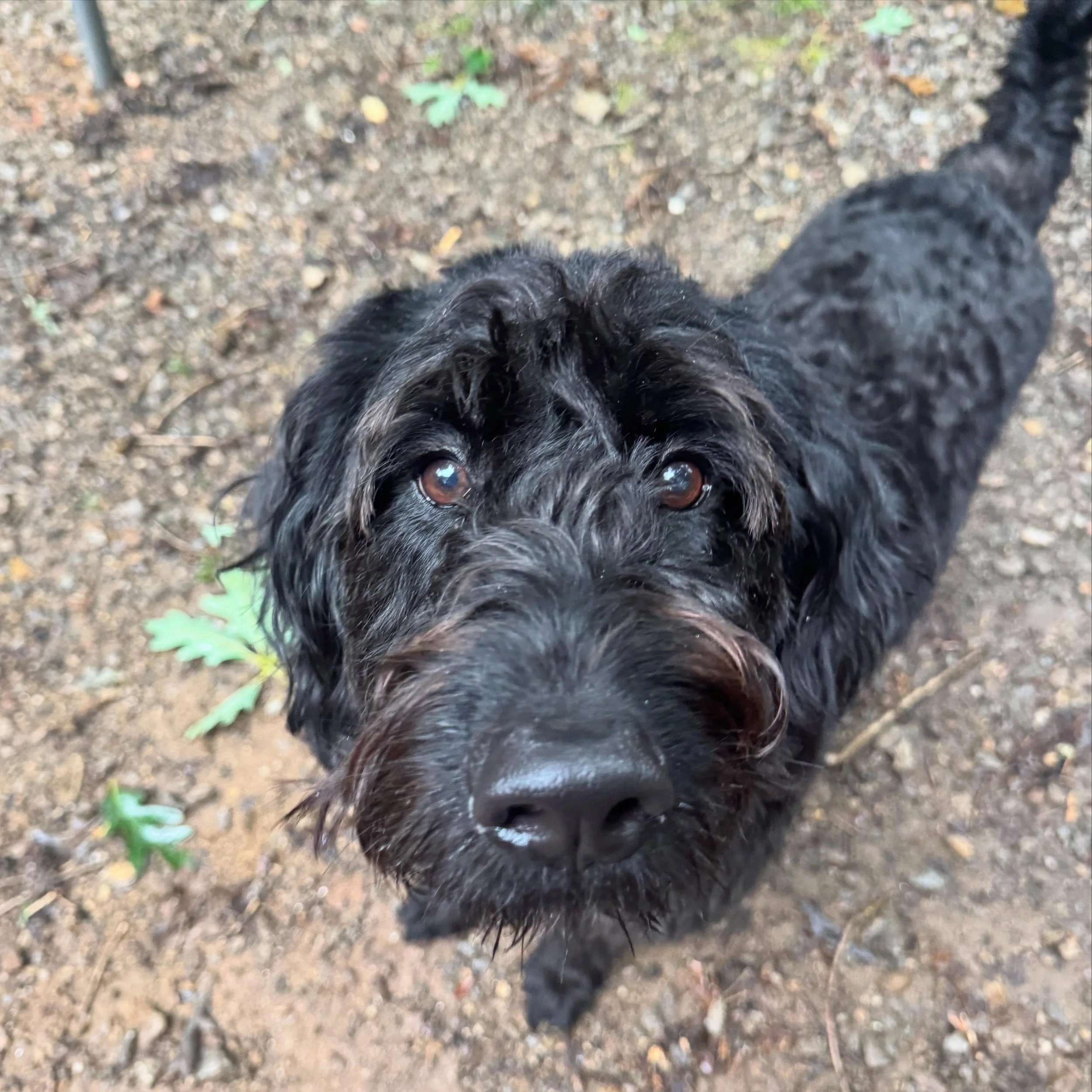 Ella is such a gorgeous girl!