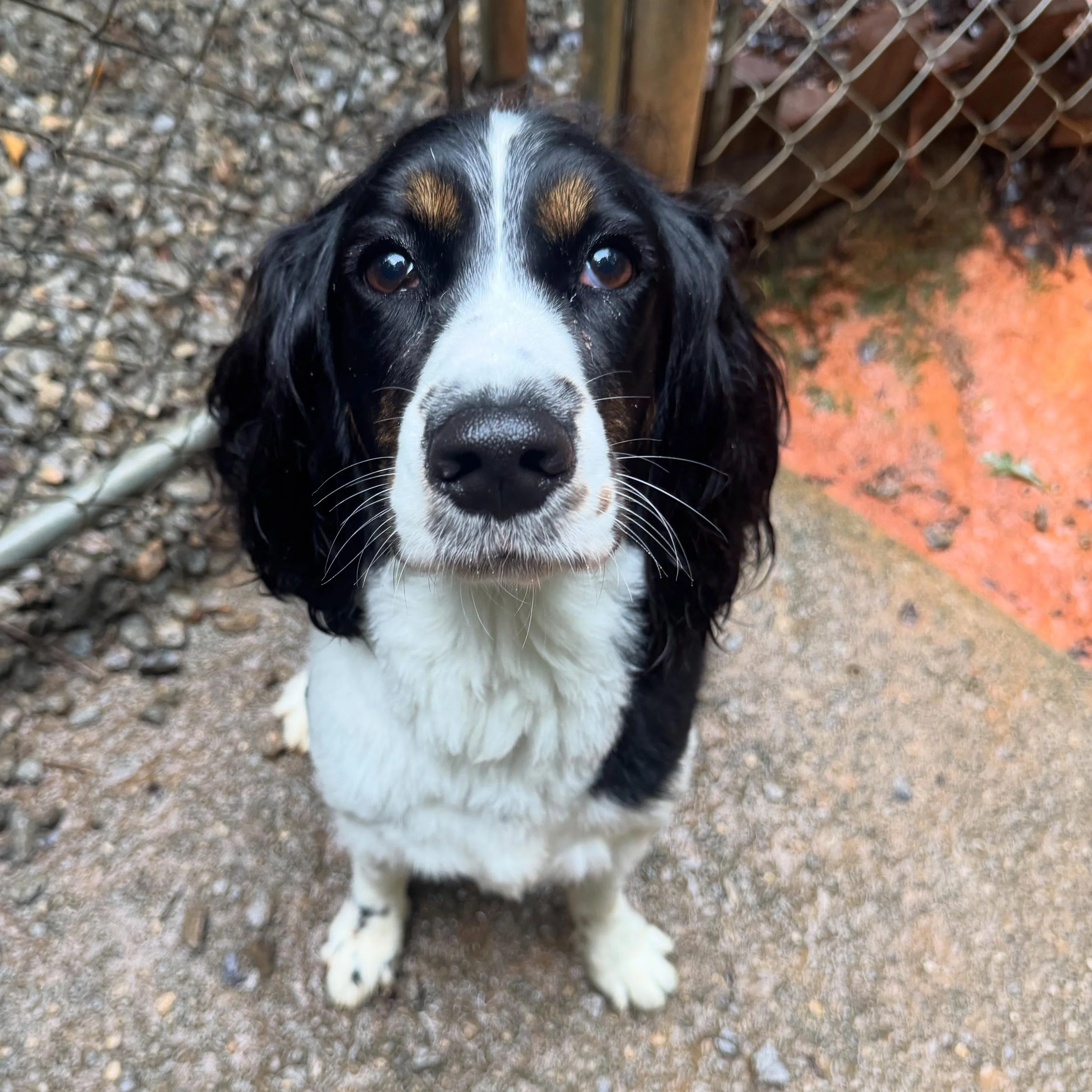 Maebelle is loving her stay with us!