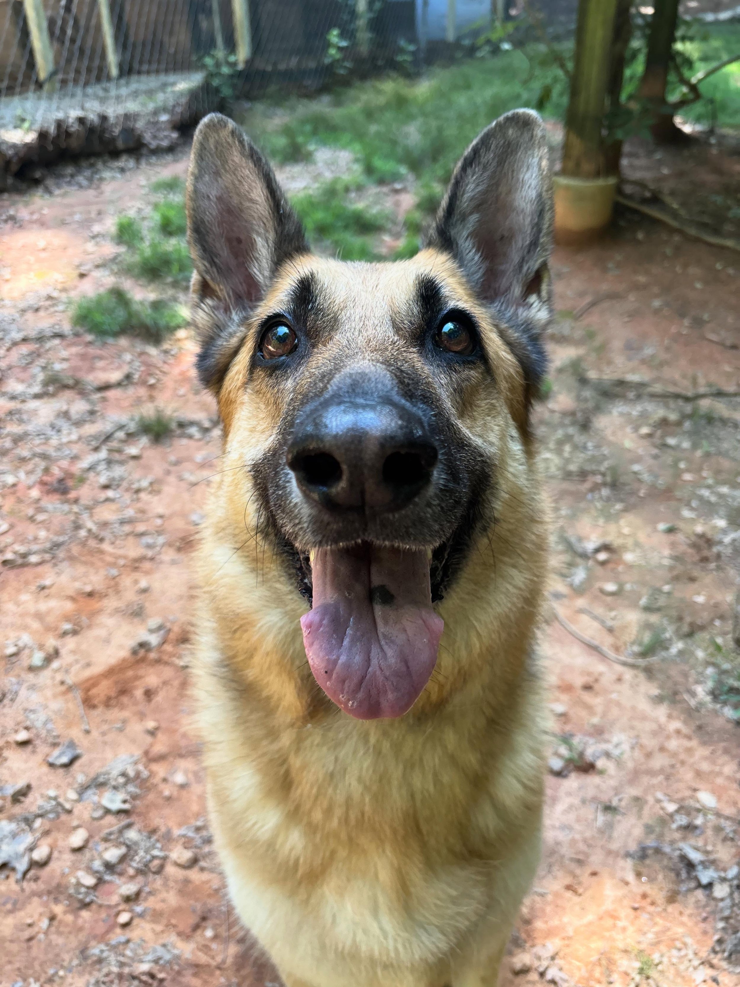 Bria is doing great with us!!