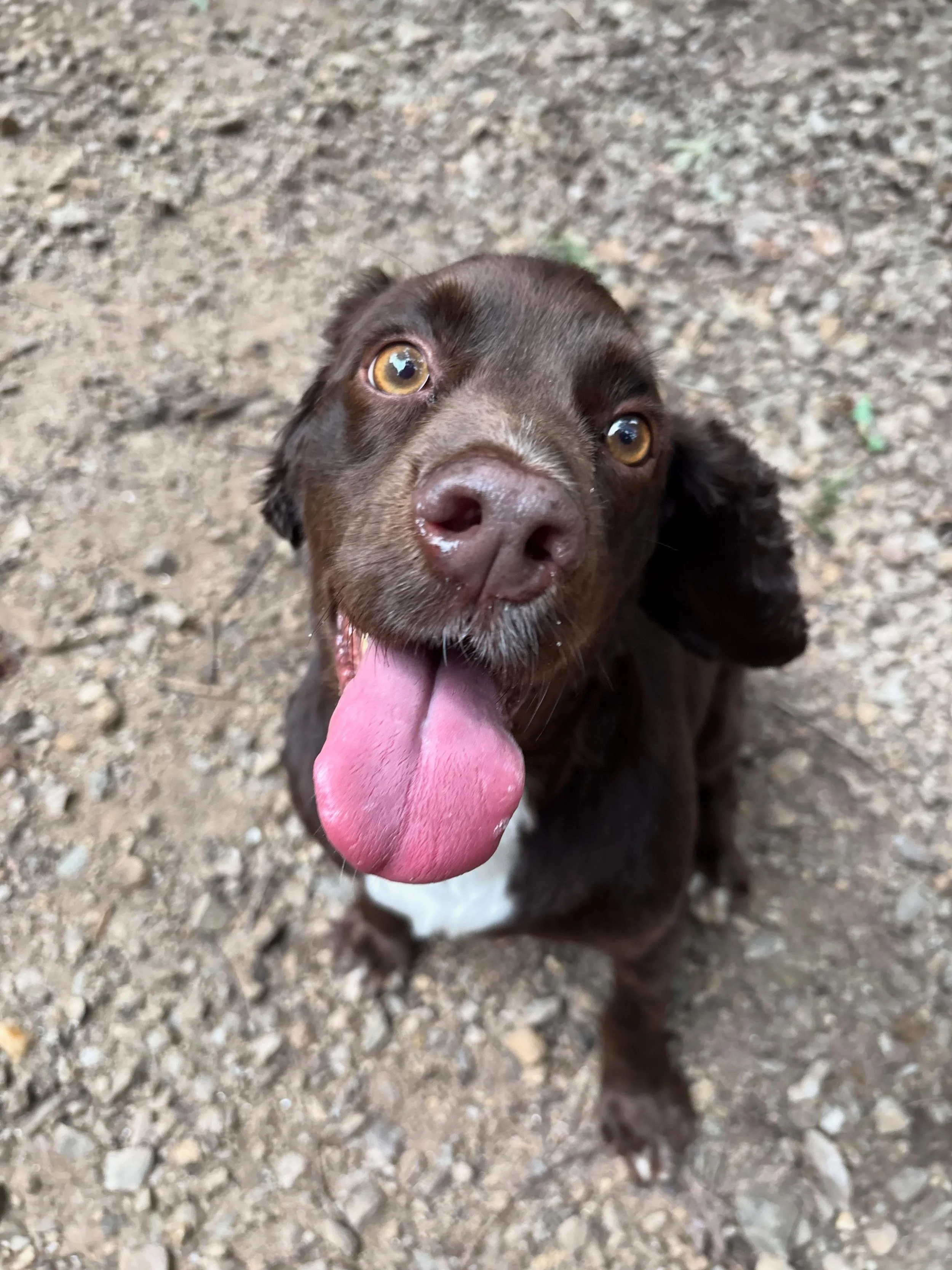 Sweet Millie girl!