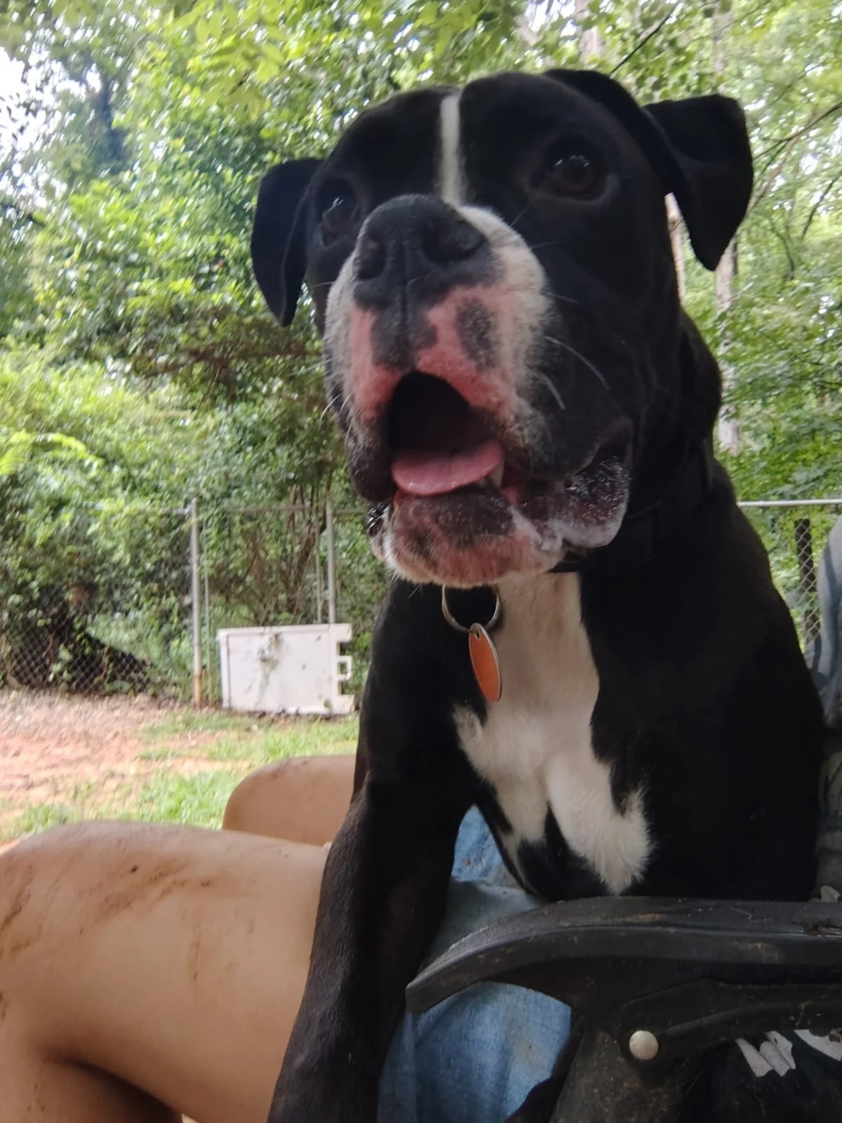 Waylon enjoying this beautiful weather