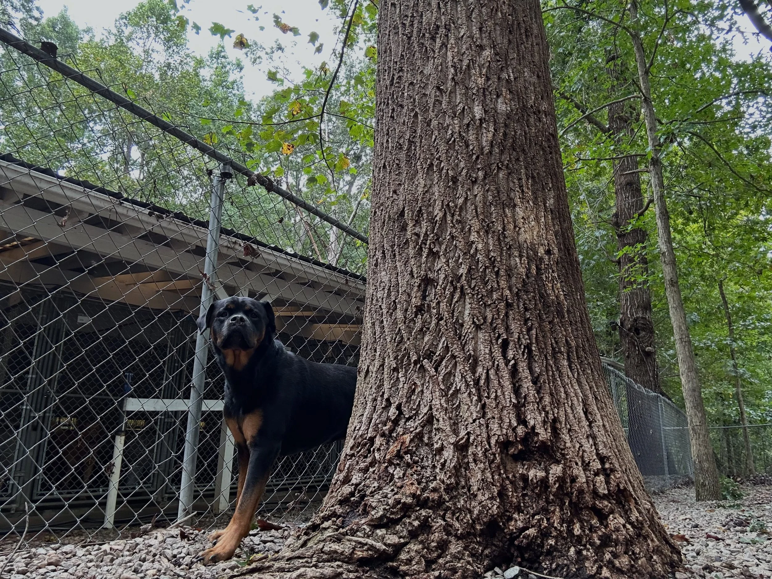 The calm after the storm with sweet Stella girl