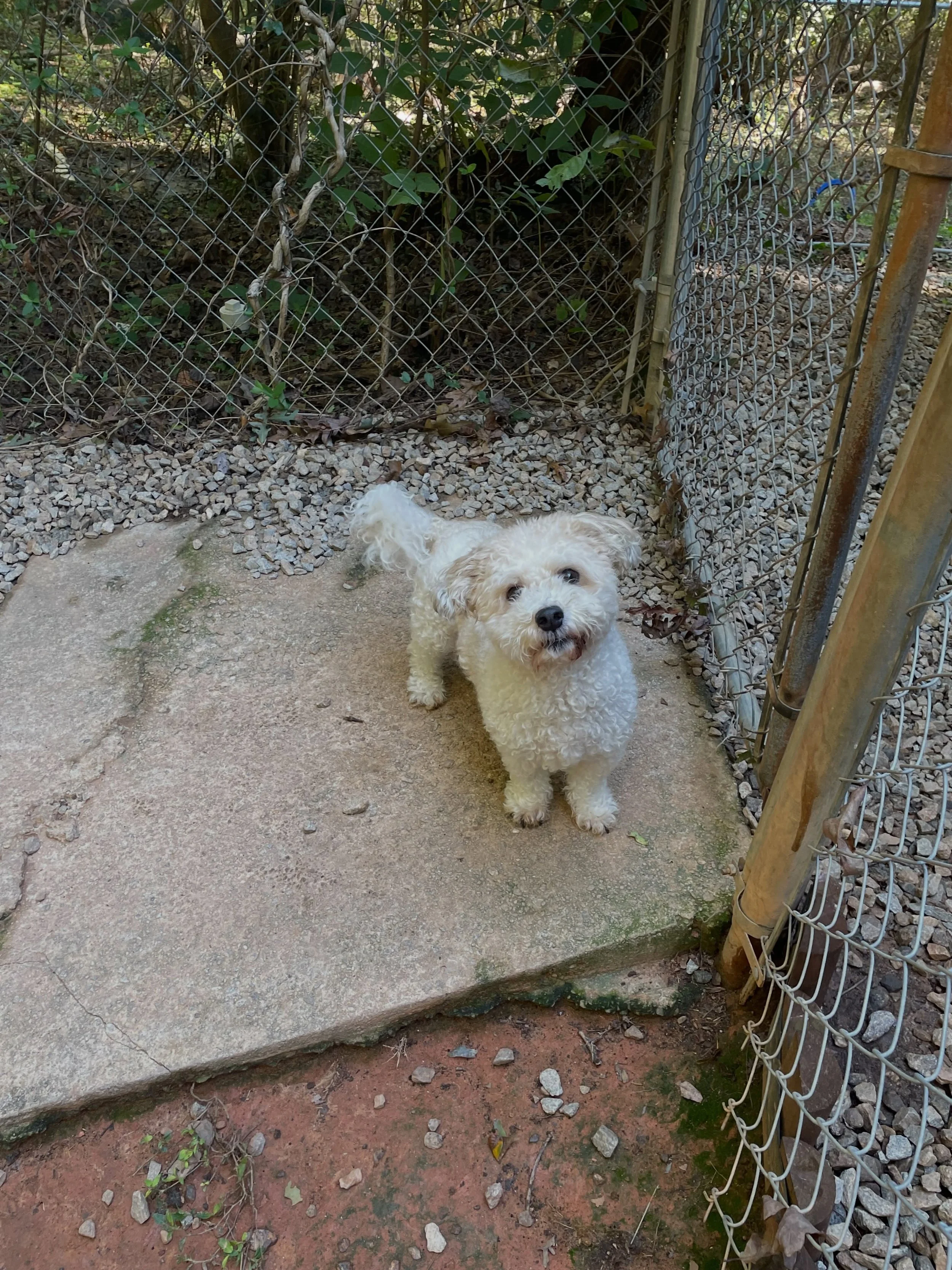 Sunny is out enjoying the beautiful weather.