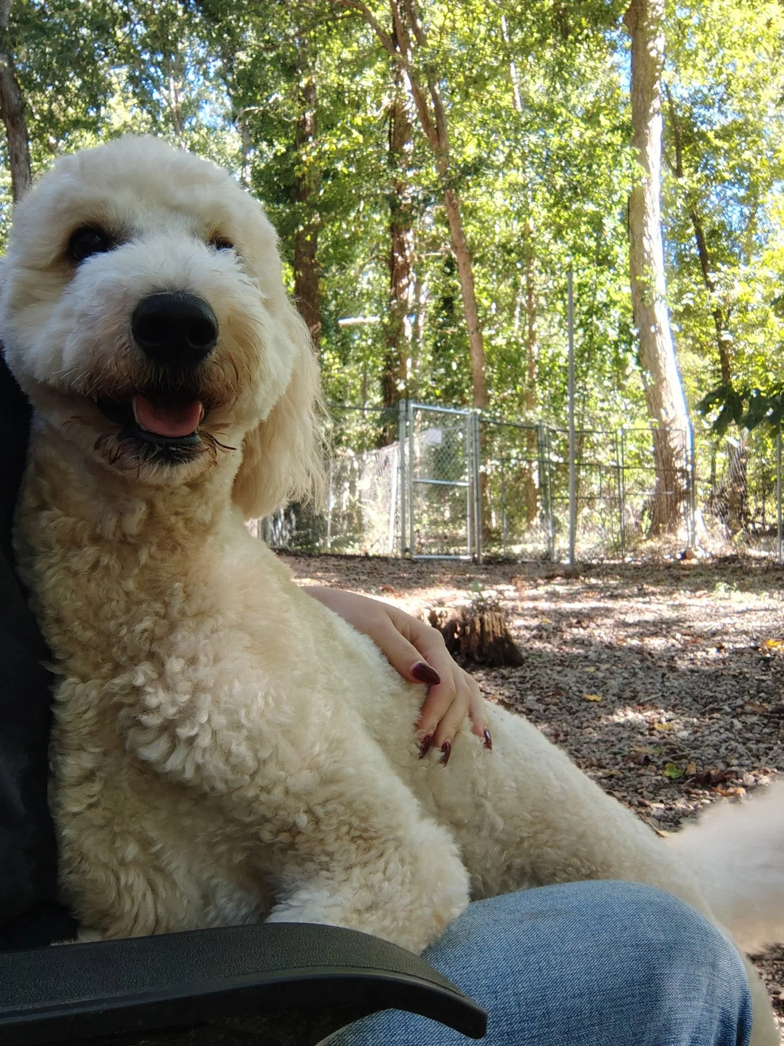 Sweet Milo
