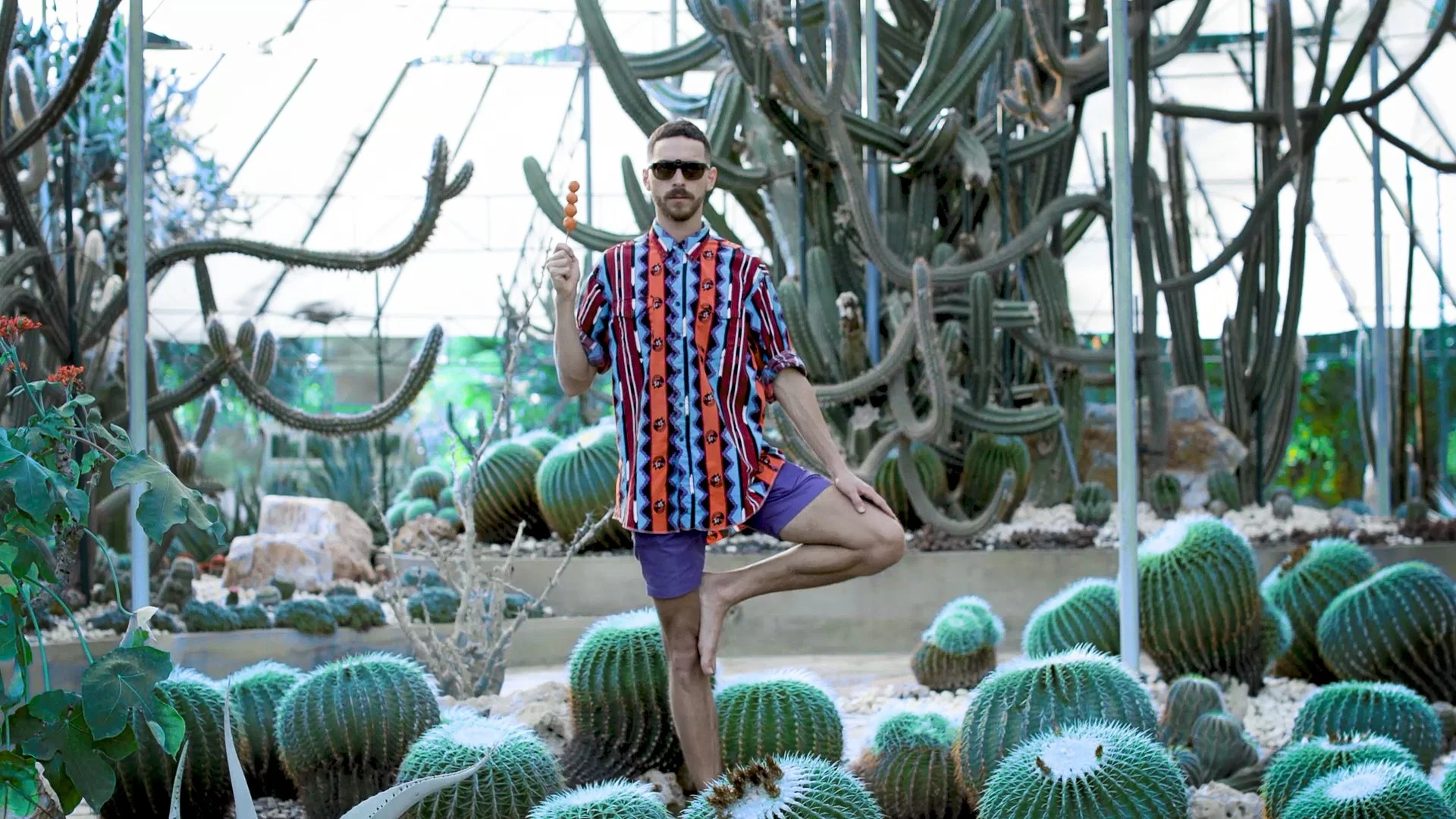 cactus capture 1.JPG