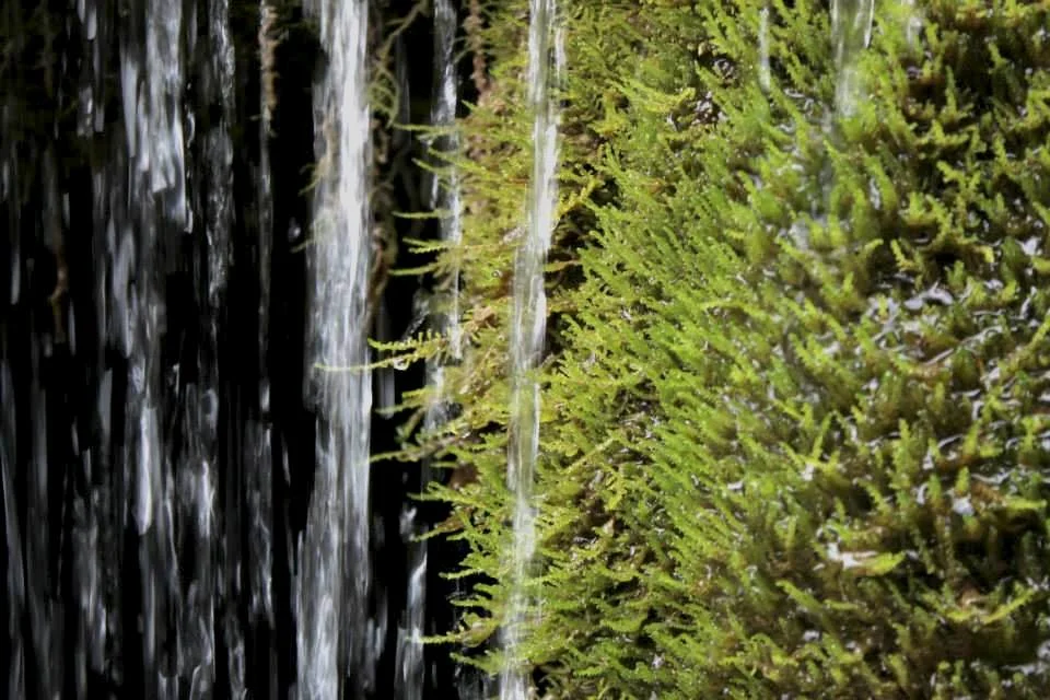 De l'eau et de la verture