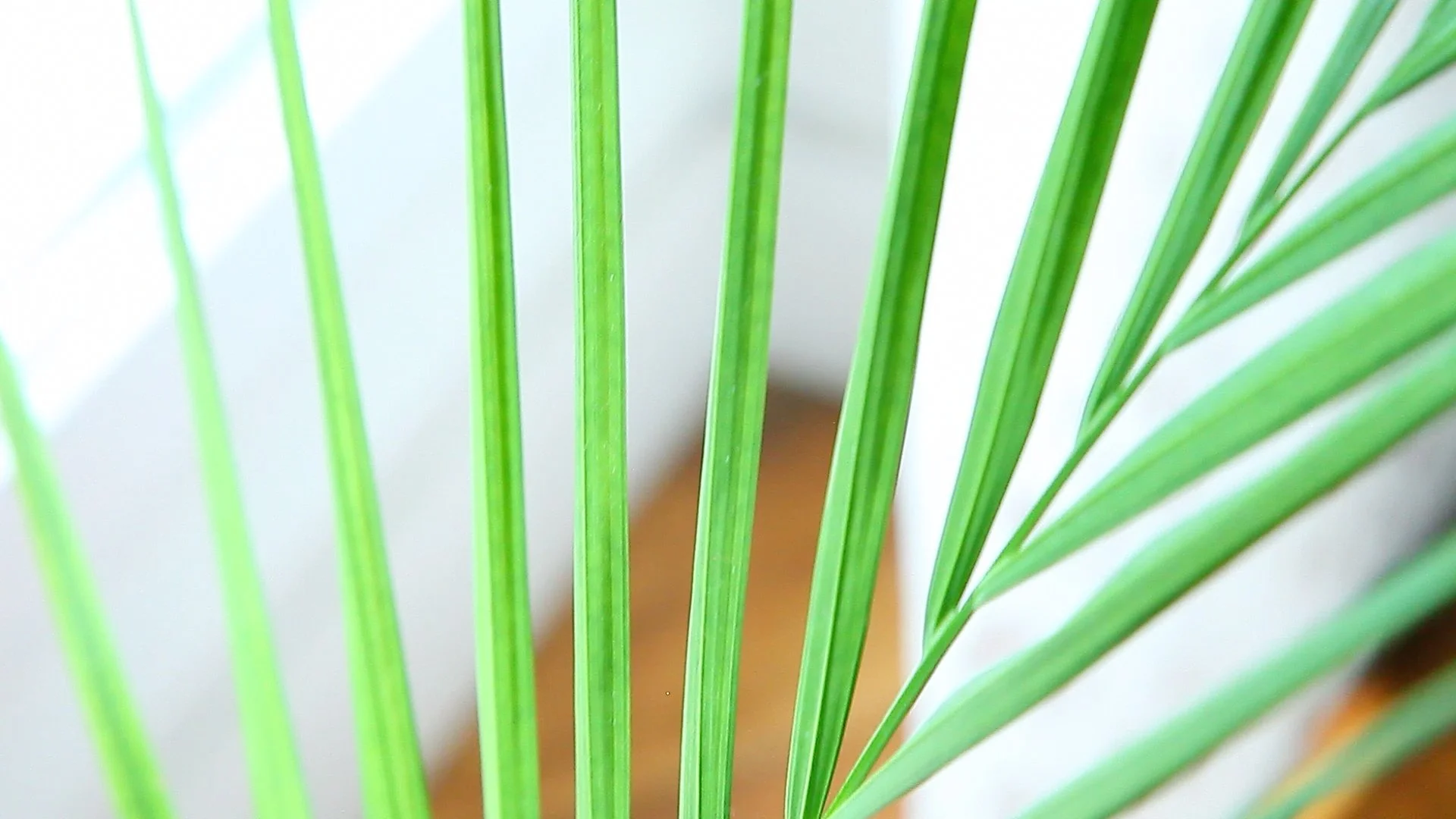 Atelier de Formation Bodhypnosis®: 4ème Formation 24/06/2017