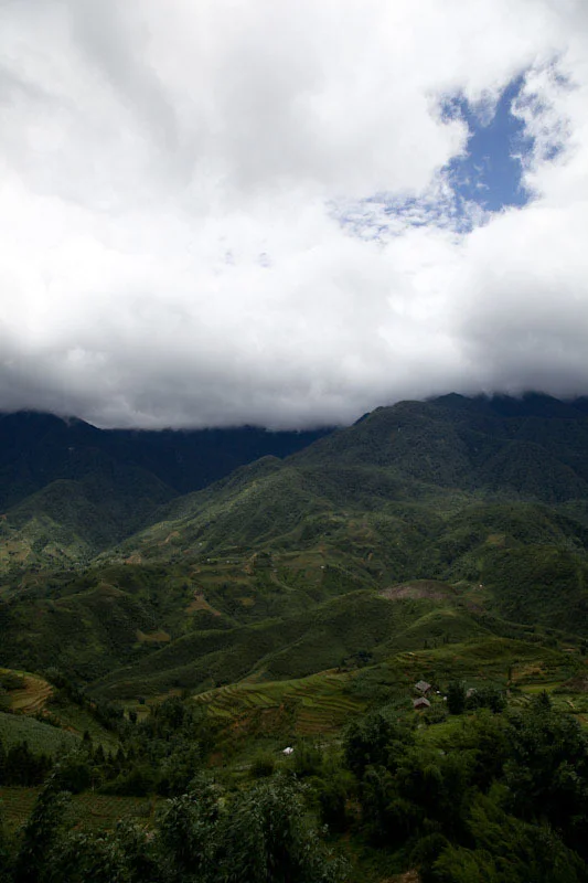 sapaupload11.jpg