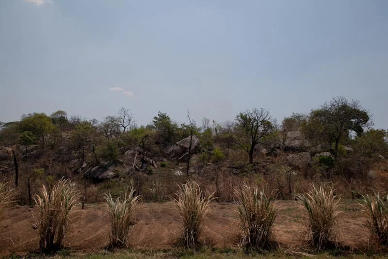 malawiandmozblog90.jpg