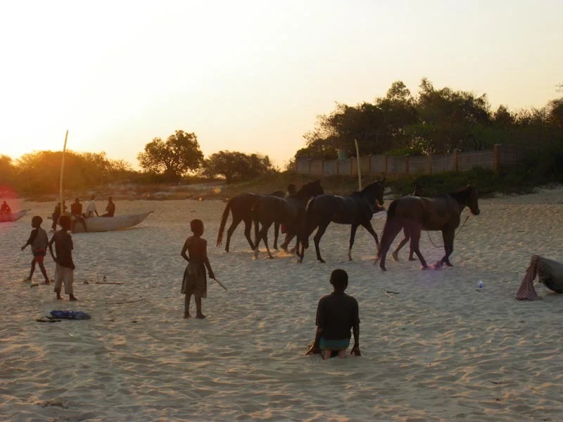 malawiandmozblog52.jpg