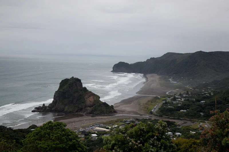 nzblogweekone4.jpg
