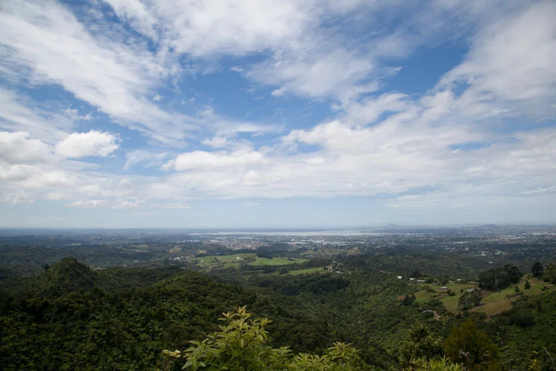 nzblogweekone1.jpg