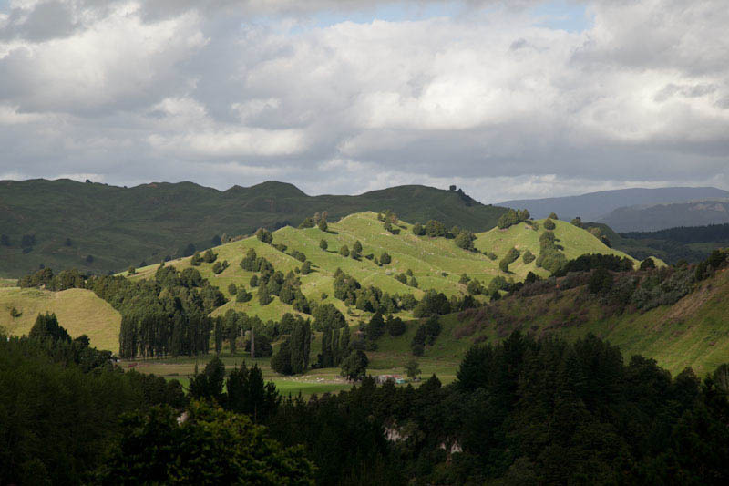 nzblogweekone30.jpg