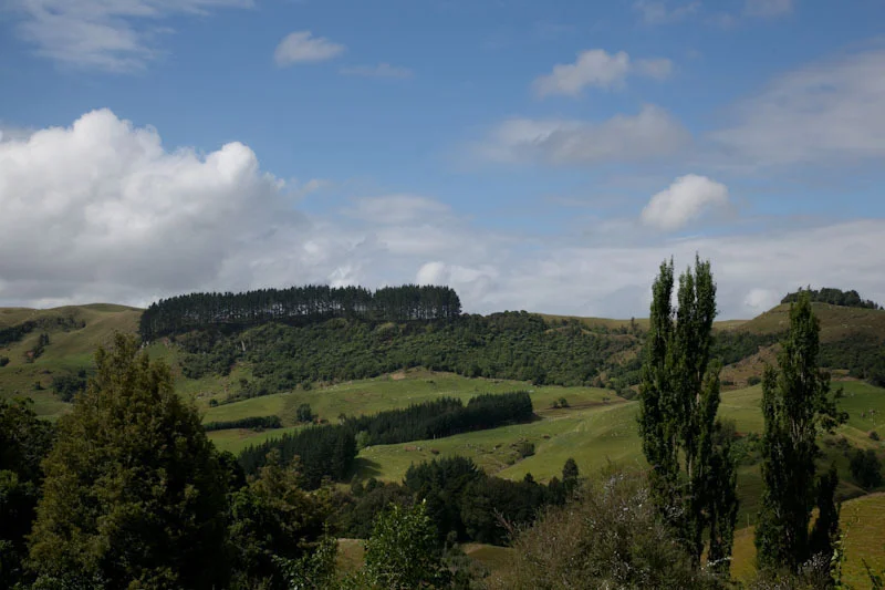 nzblogweekone27.jpg