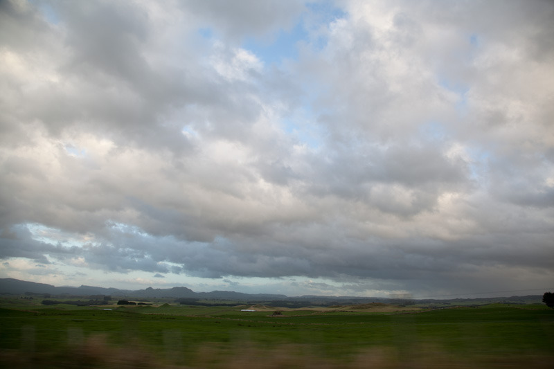 nzblogweekone19.jpg