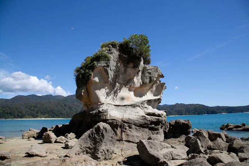 nzblogweekone70.jpg