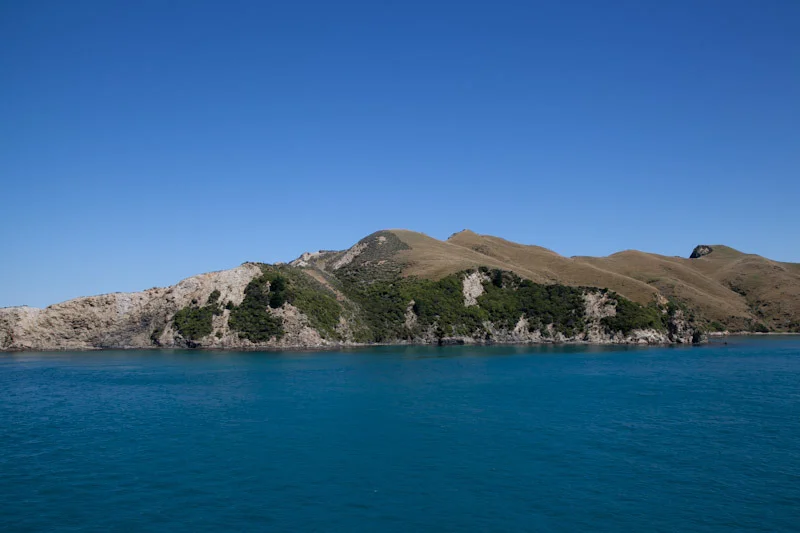 nzblogweekone60.jpg