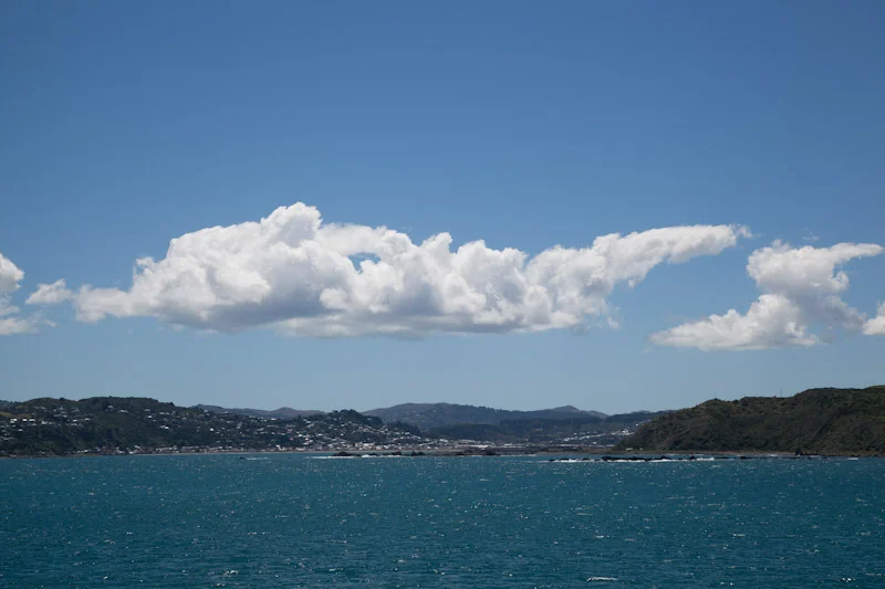 nzblogweekone59.jpg