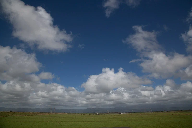 nzblogweekone51.jpg