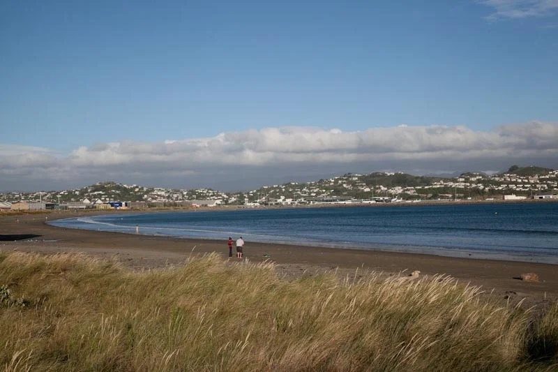 nzblogweekone52.jpg