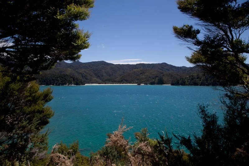 nzblogweekone89.jpg