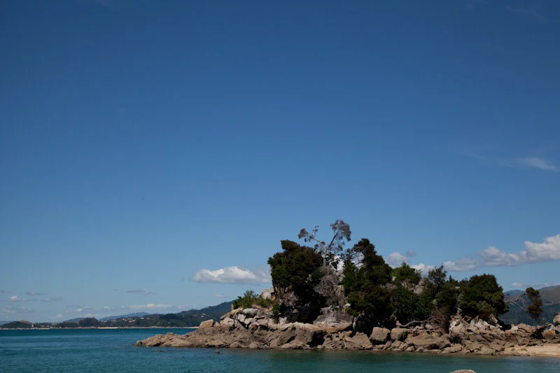 nzblogweekone75.jpg
