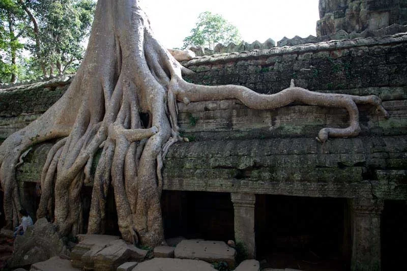 cambodiatemplesblog113.jpg