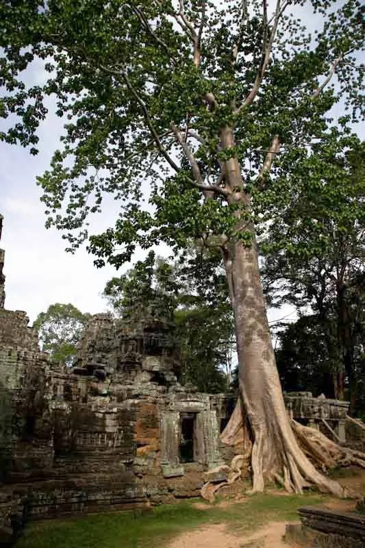 cambodiatemplesblog46.jpg