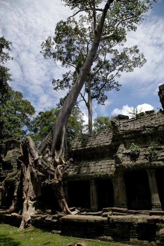 cambodiatemplesblog25.jpg