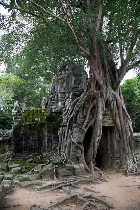 cambodiatemplesblog33.jpg
