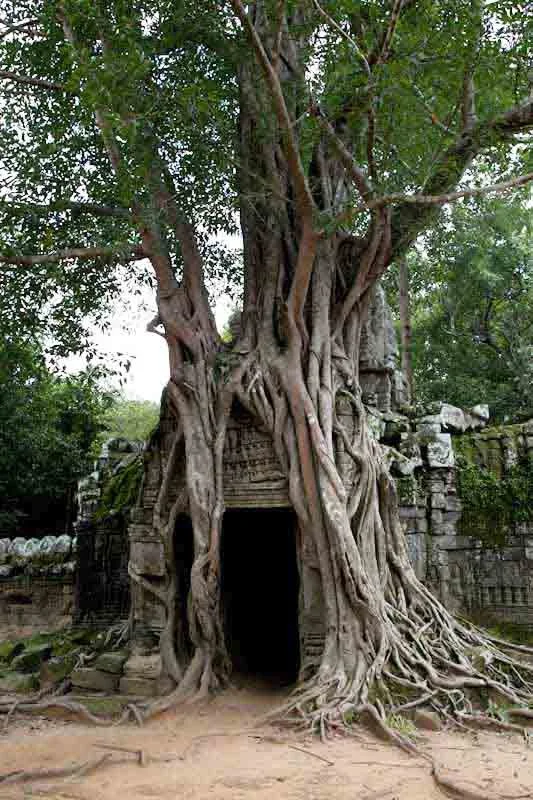 cambodiatemplesblog32.jpg