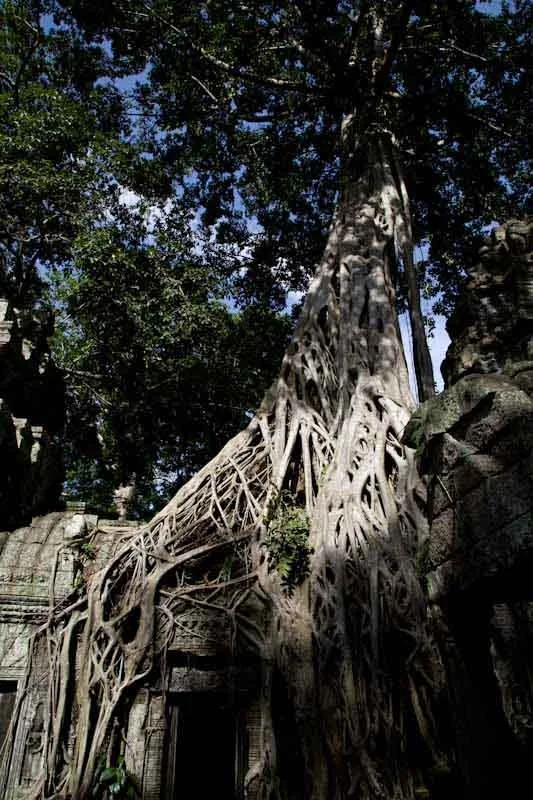 cambodiatemplesblog108.jpg