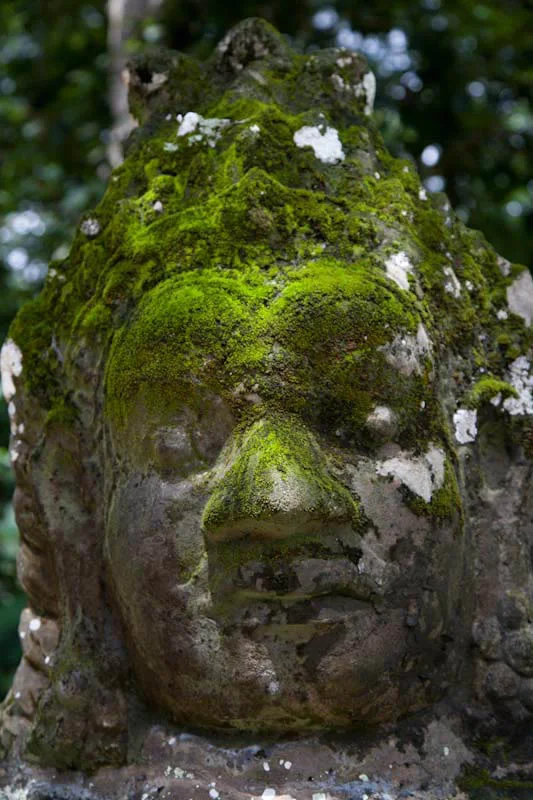 cambodiatemplesblog06.jpg