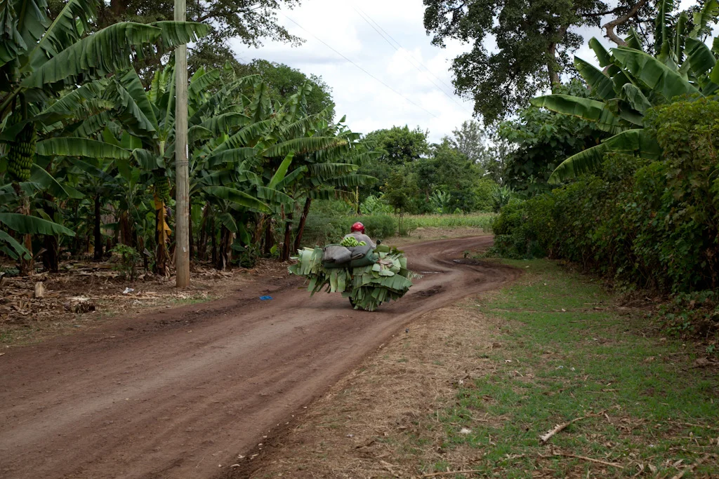 tanzania blog-6.jpg