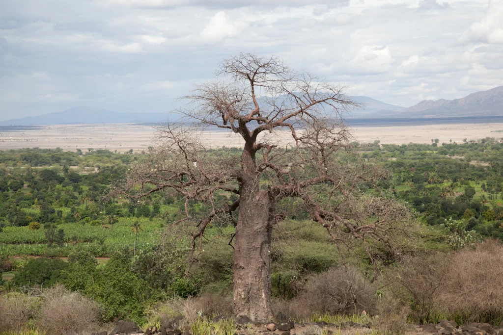 tanzania blog-15.jpg