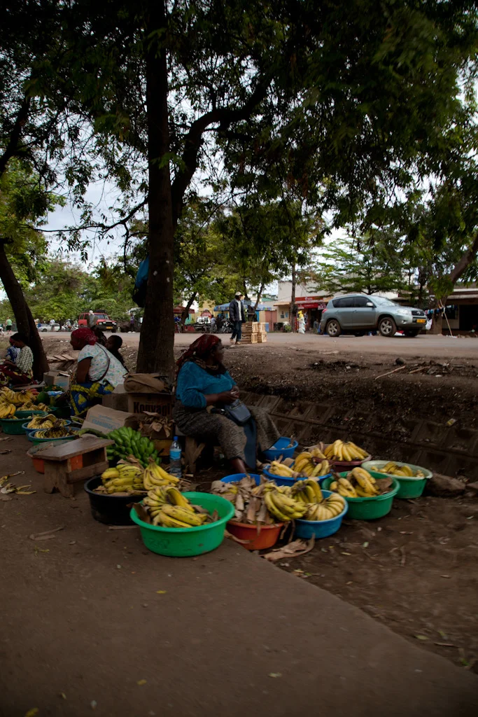 tanzania blog-30.jpg