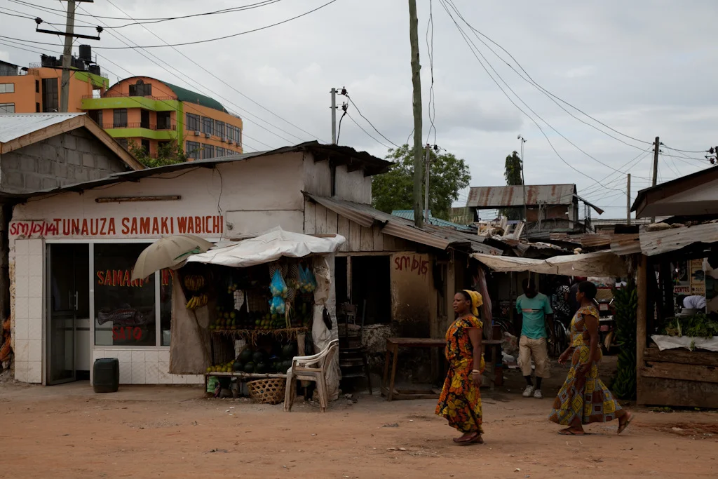 tanzania blog-43.jpg