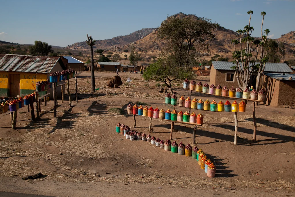 tanzania blog-52.jpg