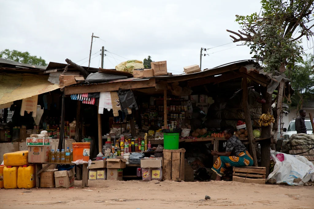 tanzania blog-44.jpg