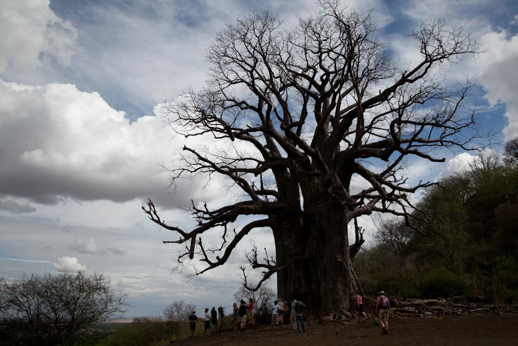 tanzania blog-17.jpg