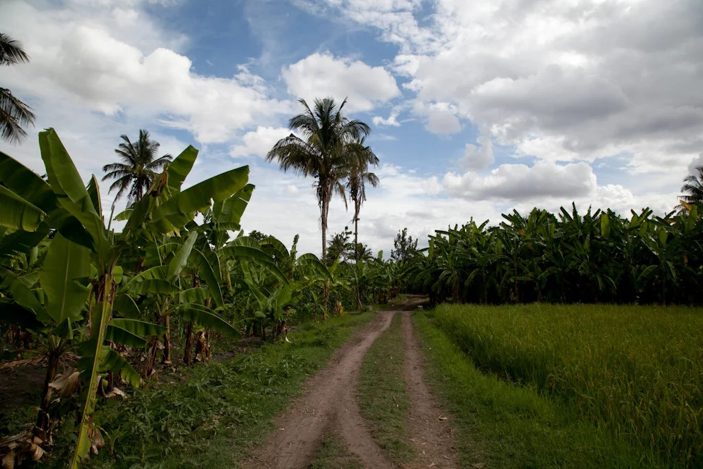 tanzania blog-20.jpg