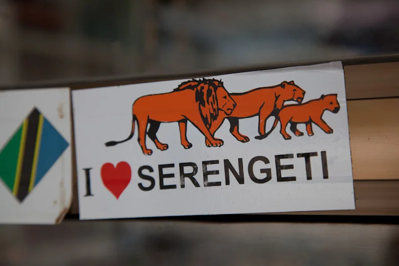 serengetiblogresize1.jpg