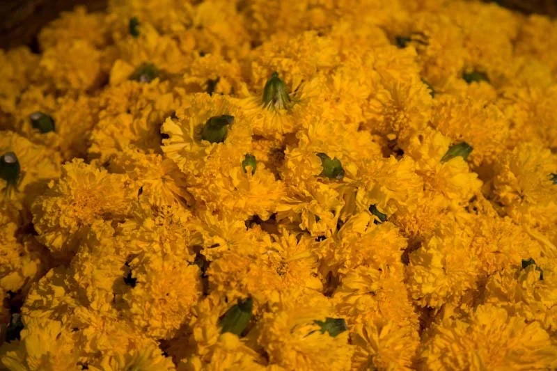 mumbaiblog46.jpg