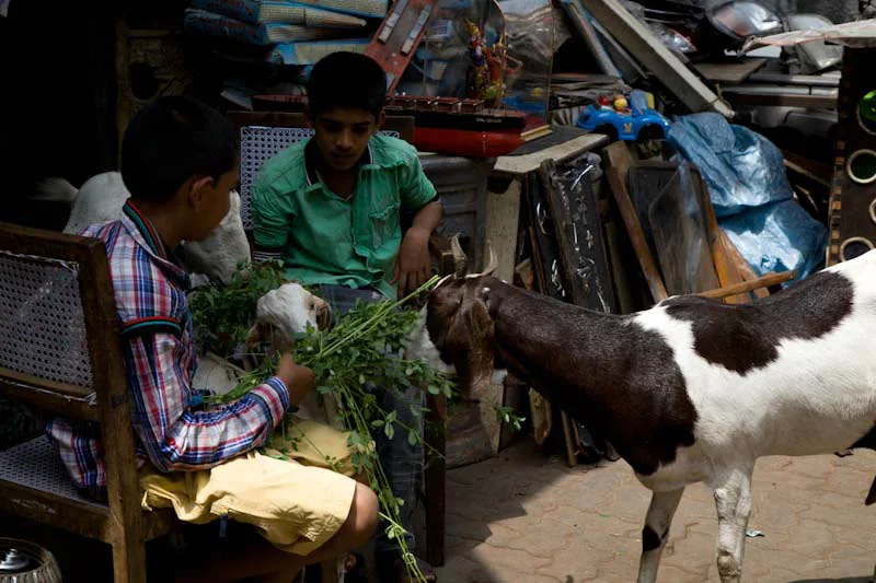 mumbaiblog70.jpg