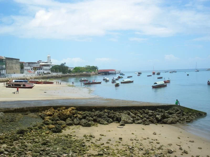 zanzibariblogresize7.jpg